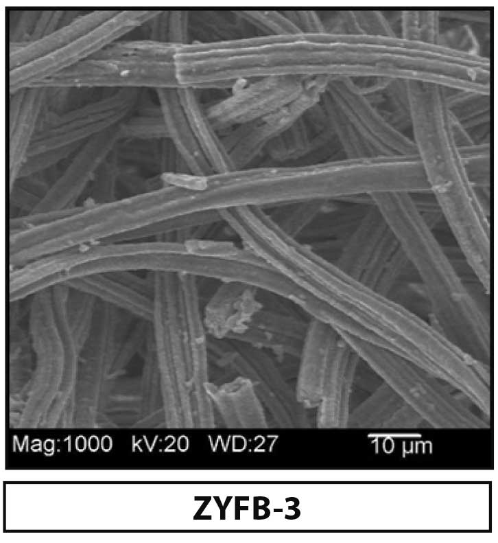 Zircar ZYFB-3 지르코니아 섬유 전자현미경 SEM 사진 — 개방 기공 섬유 구조
